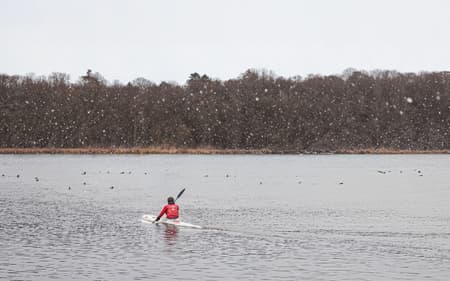Lakeshore Barn House